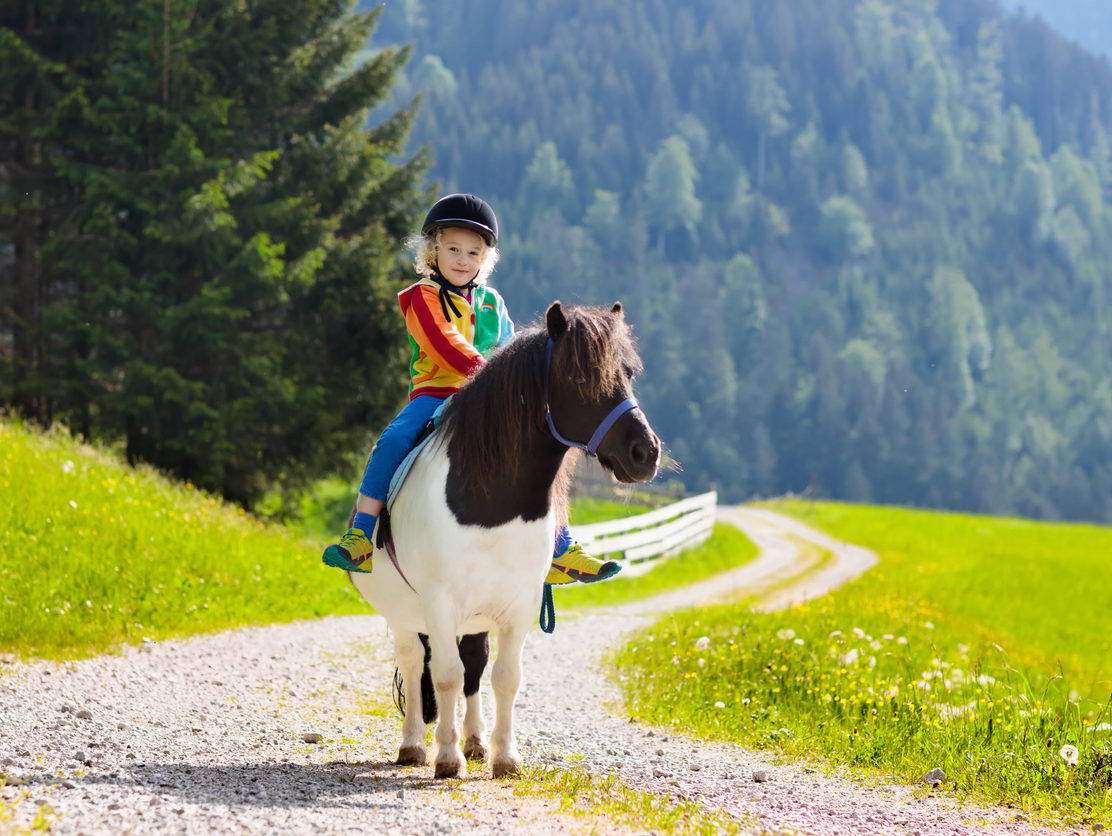 Kids riding pony in the Alps mountains. Family spring vacation on horse ranch in Austria, Tirol. Children ride horses. Kid taking care of animal. Child and pet. Little boy in saddle on pony.